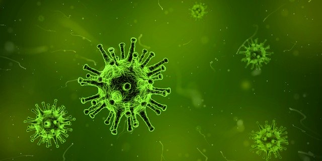 coronavirus in vancouver is spreding rapidly